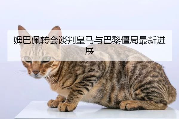 mu-ba-pei-zhuan-hui-tan-pan-huang-ma-yu-ba-li-jiang-ju-zui-xin-jin-zhan-1-704.jpg